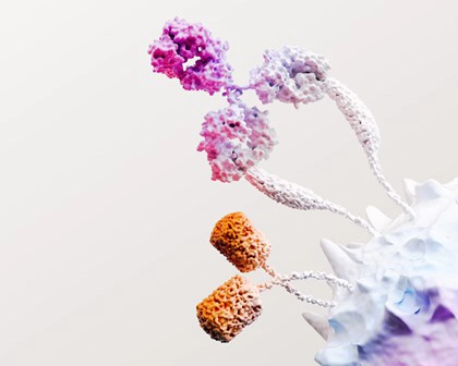 Immuno-oncology science image