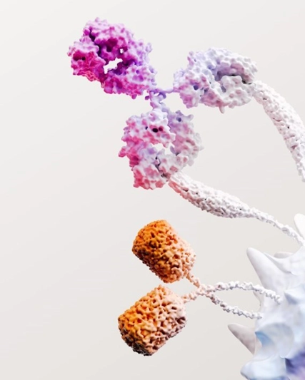 Immuno-oncology science image