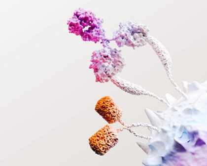 Web11 Secondary 4 Immuno Oncology Octane Ry 6K Still Copy Copy