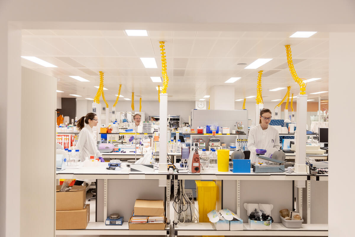 STVG 2 2022 LAB 38 HESS 26721