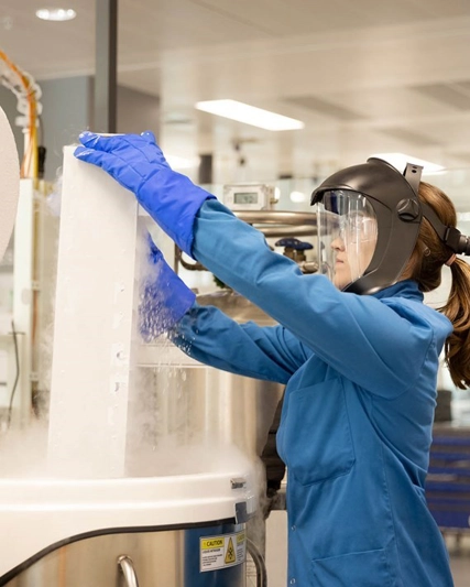 Lab - Scientist working in Cell and Gene Therapy.