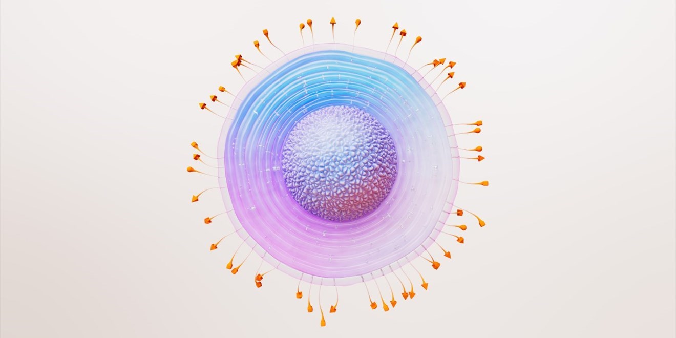 Gsk Shingles 6K Rgb 1280X720px (1)