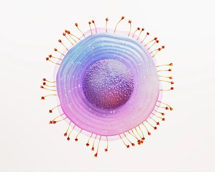 Shingles science image